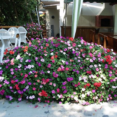 Villa Exotica Μπαλτσίκ Εξωτερικό φωτογραφία