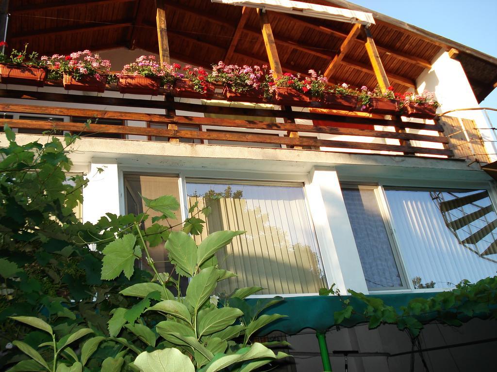 Villa Exotica Μπαλτσίκ Εξωτερικό φωτογραφία