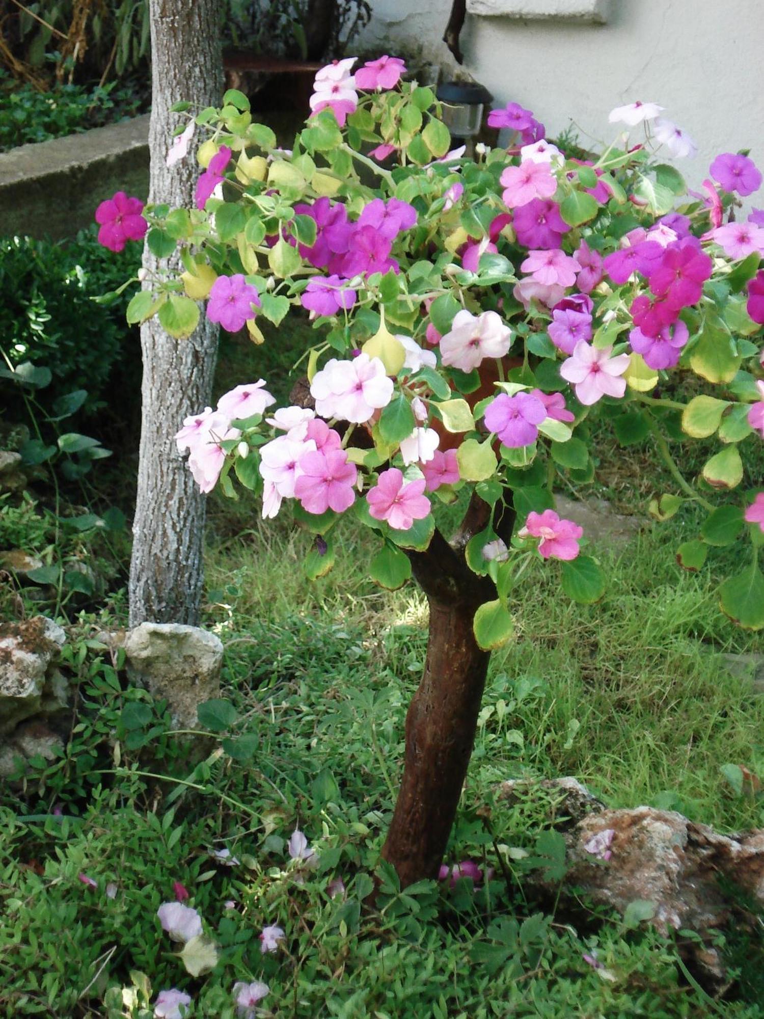 Villa Exotica Μπαλτσίκ Εξωτερικό φωτογραφία