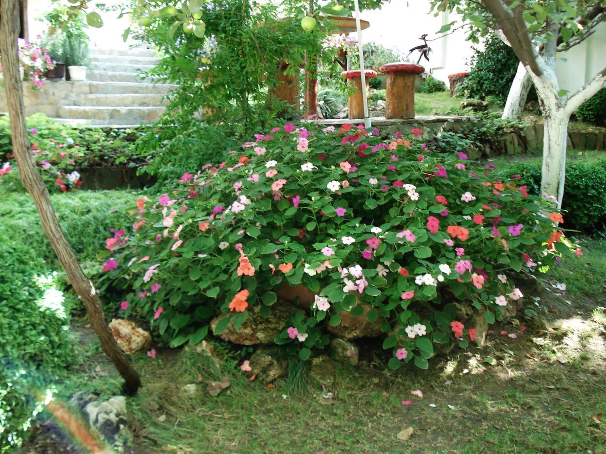 Villa Exotica Μπαλτσίκ Εξωτερικό φωτογραφία
