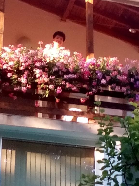 Villa Exotica Μπαλτσίκ Εξωτερικό φωτογραφία